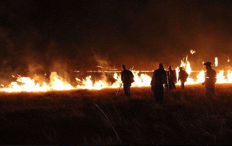 Incêndio na Chapada dos Veadeiros: mais de um quarto da área do parque foi consumido pelas chamas