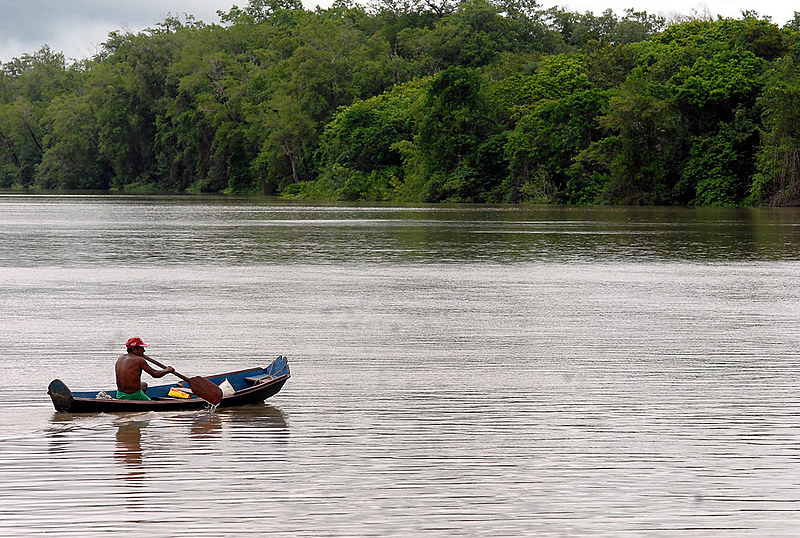 Indígena navega em área de proteção ambiental na Amazônia