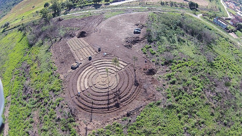 O espaço já tem alface, couve, rúcula, beterraba, cenoura e salsa plantados