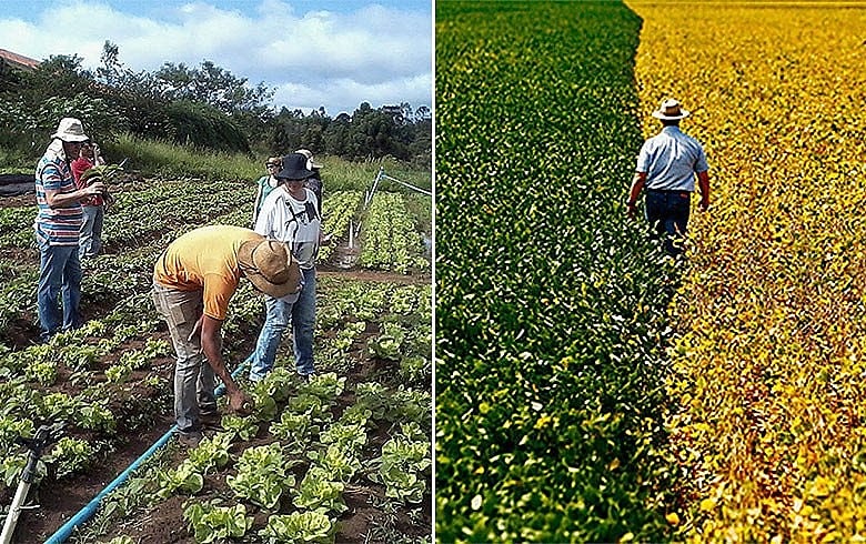 Dirigente lembra que imagem do Banco do Brasil está atrelada ao financiamento da agricultura e quer saber se política será mantida