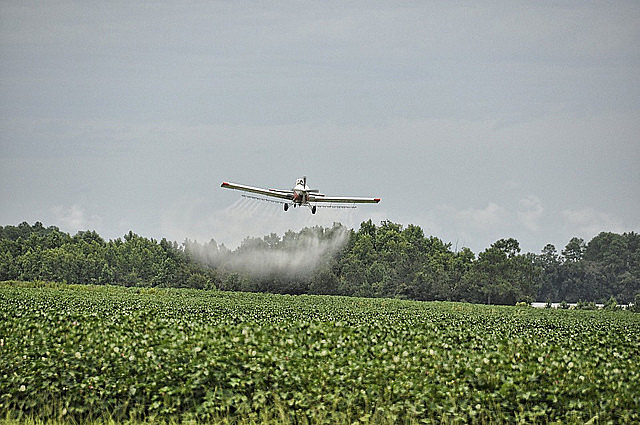 Pulverização por aviões em grandes plantações contamina água, ar e solo
