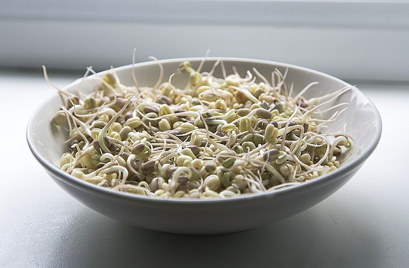 Consumir germinados proporciona aproveitar muito mais os nutrientes da planta