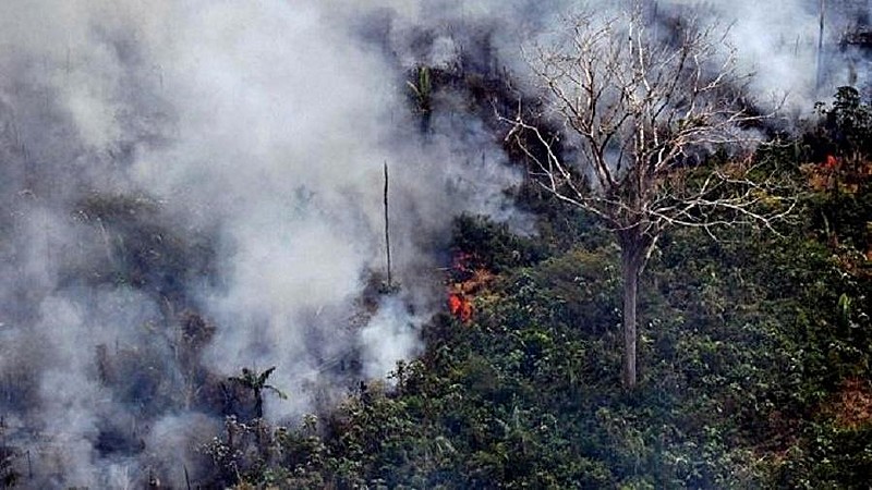 Incêndio na floresta amazônica, a 65 km de Porto Velho, em Rondônia, no norte do Brasil.