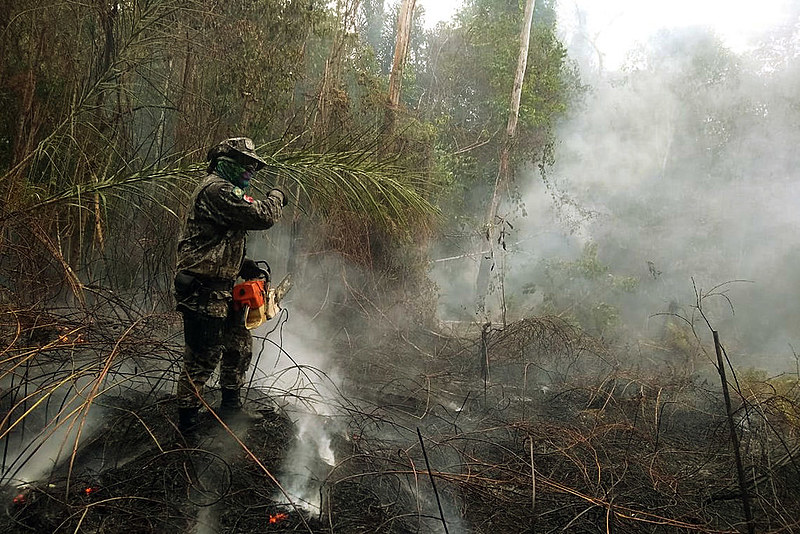 Brigada combate fogo em mata de Rondônia no início de setembro
