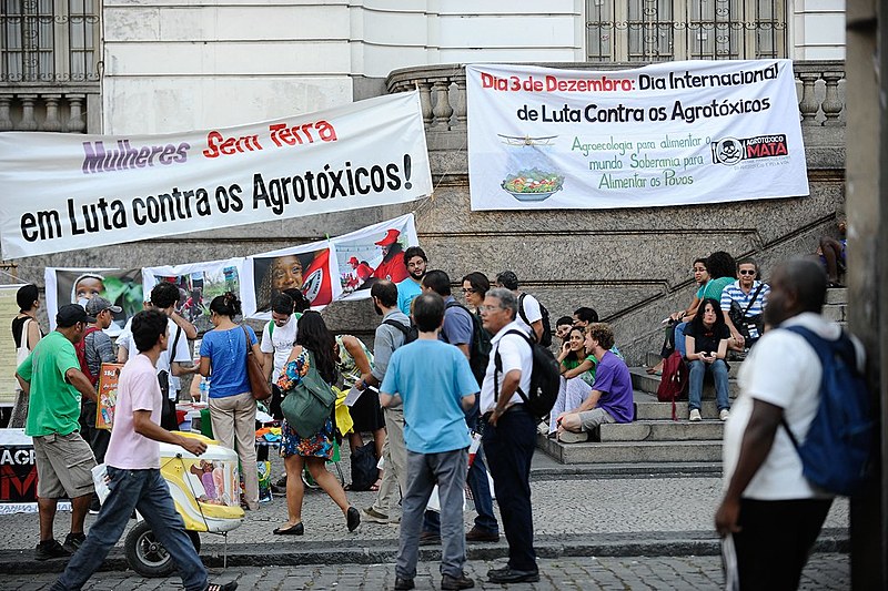 Protesto contra o uso de agrotóxicos em frente a câmara dos vereadores do Rio de Janeiro