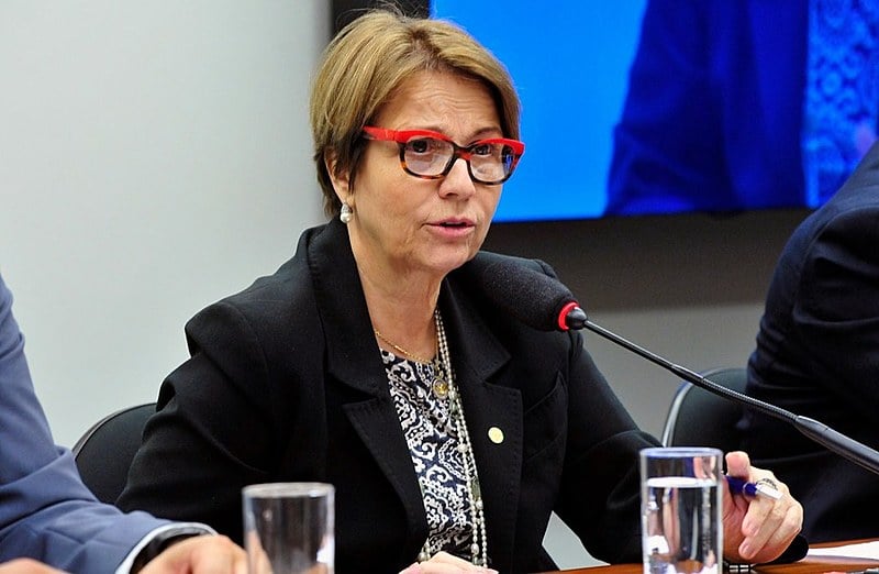 Deputada Tereza Cristina (DEM-MS) preside atualmente a Frente Parlamentar Agropecuária (FPA), conhecida como "bancada ruralista"