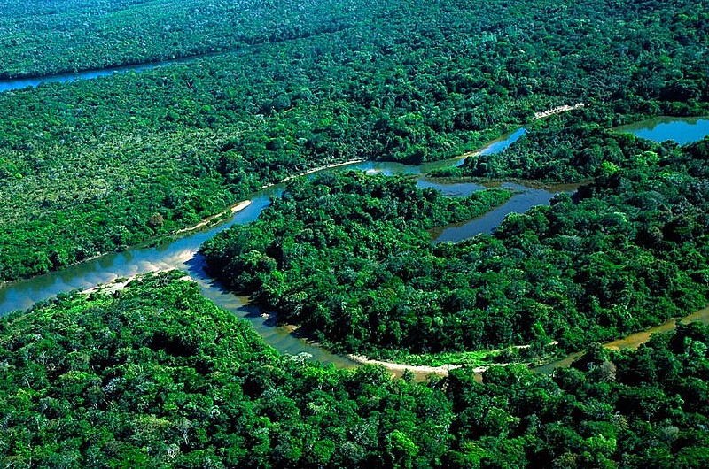 Nova Lei da Biodiversidade, de 2015, prevê que pesquisas e produtos com nossa biodiversidade não necessitem de autorização prévia