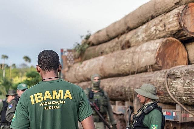 "O governo do presidente Jair Bolsonaro deve parar de enfraquecer as proteções ambientais", aponta HRW