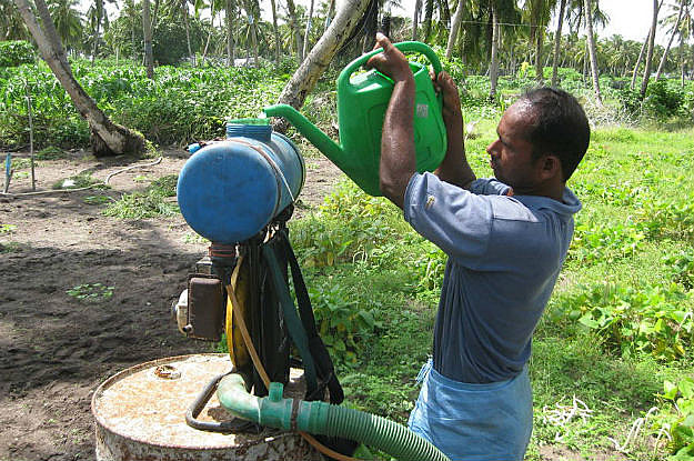 Organização Mundial da Saúde (OMS) estima que, em média, 193 mil mortes por ano no planeta podem ter relação com o uso de agrotóxicos