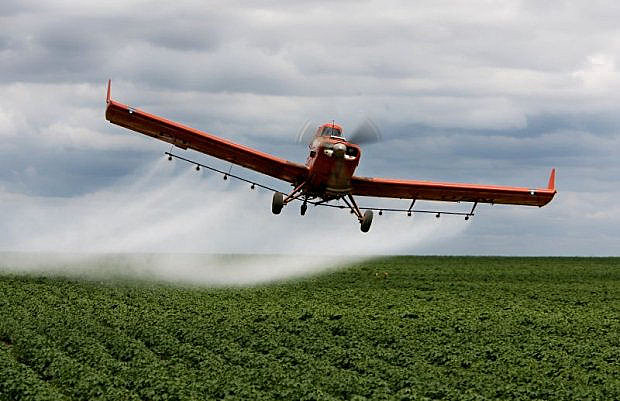 O Ibama já havia proibido, em 2012, a aplicação aérea do agrotóxico EngeoTM, da Syngenta, em milharais