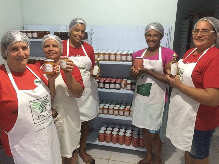 “As camponesas”: grupo de mulheres do MST promove agroecologia com fruticultura