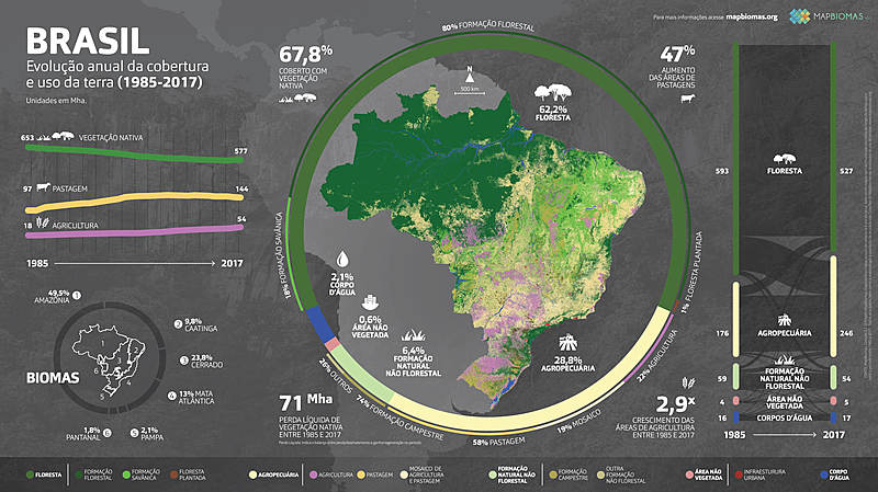 Gráfico mostra evolução da cobertura florestal e do uso da terra no Brasil até 2017
