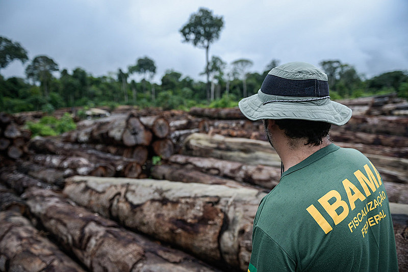 Apenas 5% das multas aplicadas pelo Ibama são pagas pelos infratores
