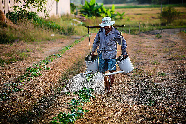 PEC 06/2019 vai adiar ou até mesmo acabar com o direito a aposentadoria dos trabalhadores e das trabalhadoras rurais