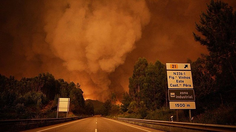 Incêndio tem comovido sociedade portuguesa