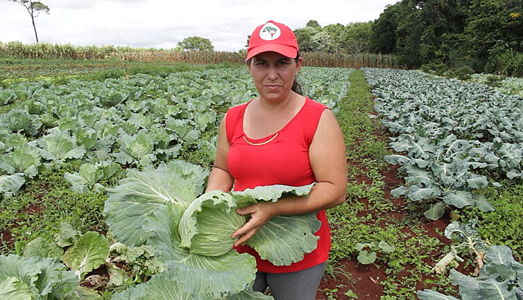 A produção e comercialização do assentamento é organizada pela Cooperativa de Comercialização e Reforma Agrária União Camponesa, a Copran.