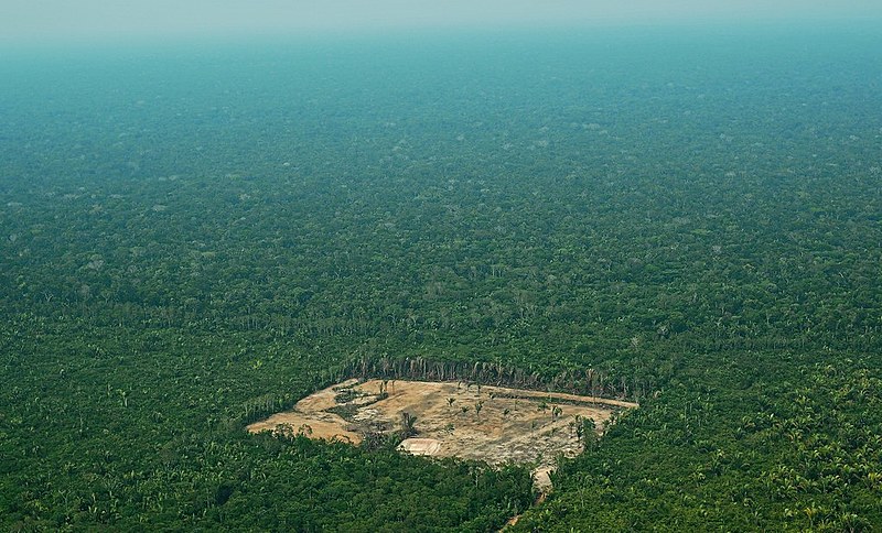 Área devastada no oeste da floresta amazônica