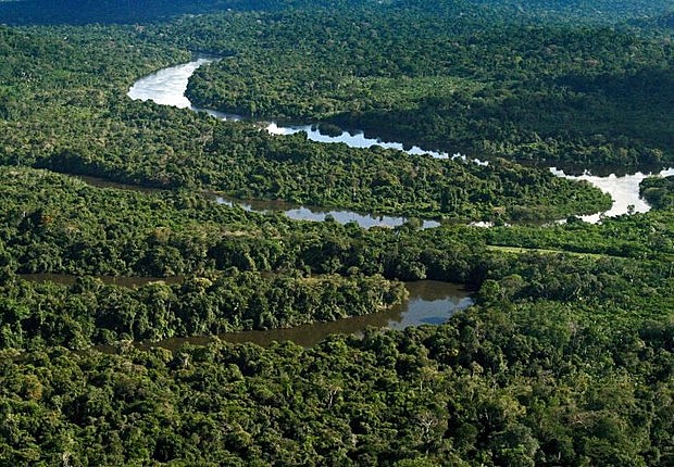 Exército brasileiro estima que patrimônio natural total da Amazônia gire em torno U$ 23 trilhões; riqueza está em risco