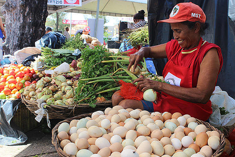 Compotas, cachaça orgânica, legumes, verduras, frutas da época, mudas de plantas diversas estão em exposição a preços populares