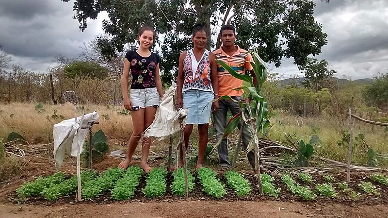 Diogo produz frutas, polpas e hortaliças em Cachoeira do Guilherme, Iguaraci.