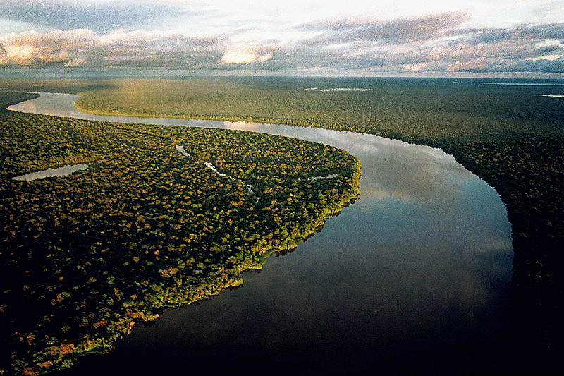 Amazônia brasileira é referência mundial para balanço climático e preocupa atores internacionais