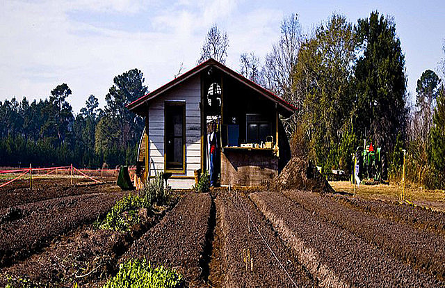 En Río Grande del Sur el número de suicidios supera el promedio nacional: 10 de cada 100 mil habitante