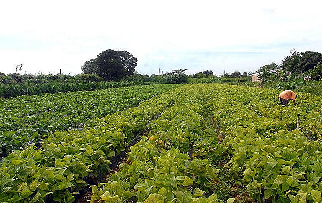 A lot of the paid labor force in rural areas is working in properties up to 120 acres