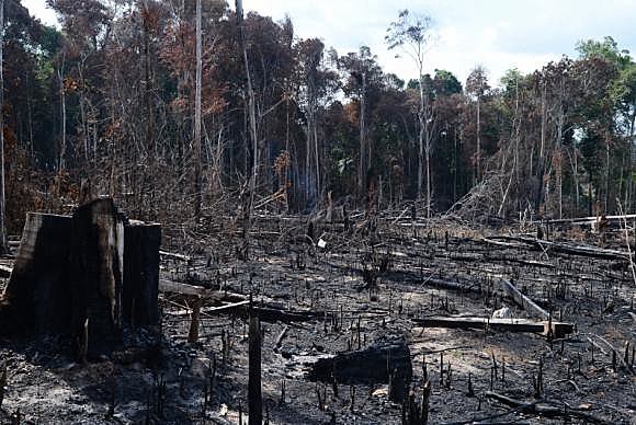 Apenas imóveis de até 1.500 hectares podiam ser regularizados pelo programa. Agora, esse limite poderá ser ampliado para 2.500 hectares