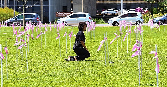 Cruces frente al Congreso por el Día Internacional de Combate a la Violencia Contra la Mujer
