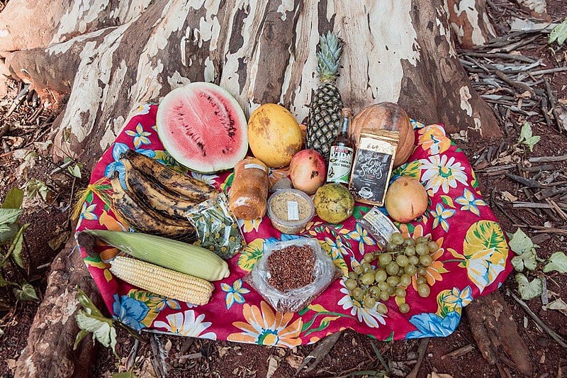 Frutas e grãos orgânicos que compramos na feira, que acontece até o próximo domingo em São Paulo (6)