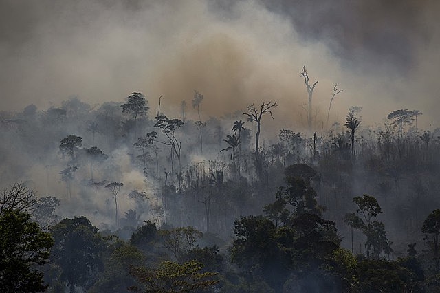 Focos de incêndio na região de Altamira, no sudoeste paraense; ação criminosa foi articulada em grupos de WhatsApp
