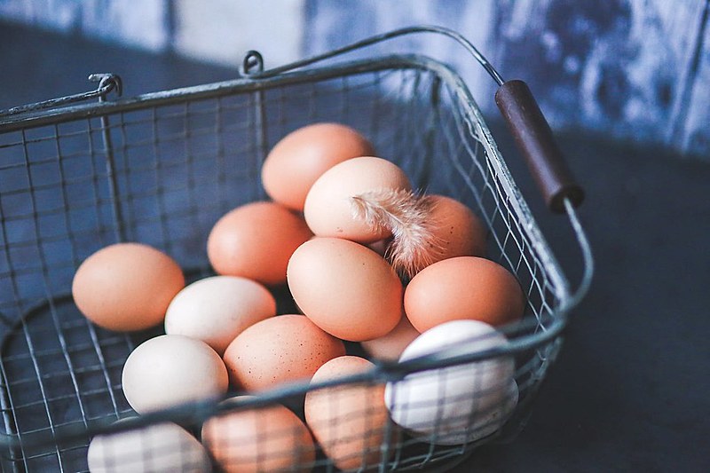 "Depois do leite materno, o ovo é o melhor alimento do mundo", afirma nutricionista Pâmela Terra.