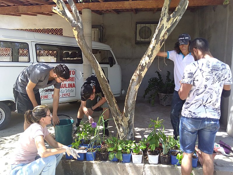 No lançamento, o grupo explicará os passos iniciais para construção do jardim e quais os cuidados necessários em sua manutenção. 