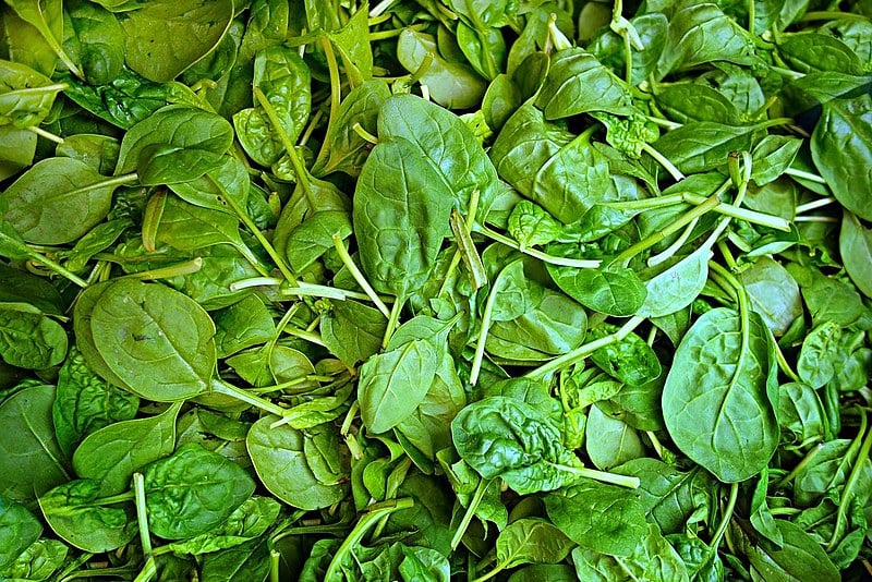 Além de fonte de nutrientes, o alimento também é rico em vitaminas e minerais