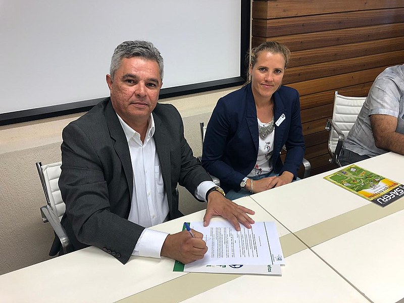 Processo de organização da categoria de trabalhadoras do esporte