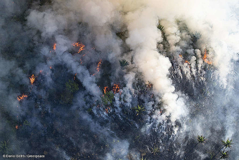 Con la llegada del llamado “verano amazónico”, la selva se queda más susceptible a incendios