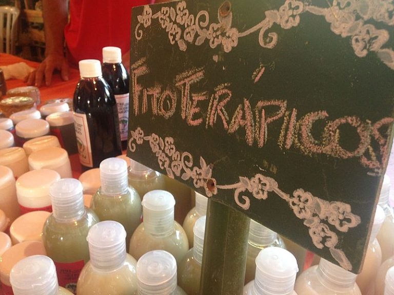 De remédios a cosméticos: conheça os fitoterápicos da reforma agrária