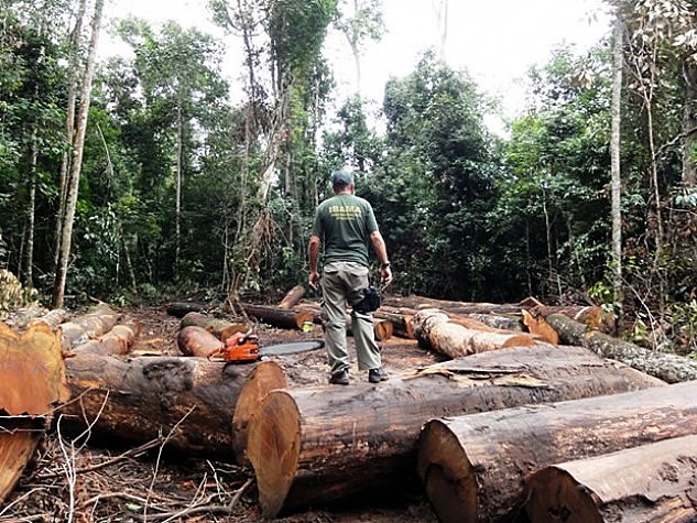 Agro e multinacionais têm 1,18 milhão de hectares sobrepostos a terras indígenas, mostra estudo