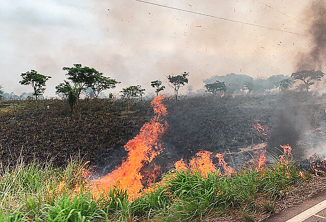 Desmatamento é o primeiro passo da grilagem. Registro de queimadas na BR-155, em Eldorado do Carajás, no Pará