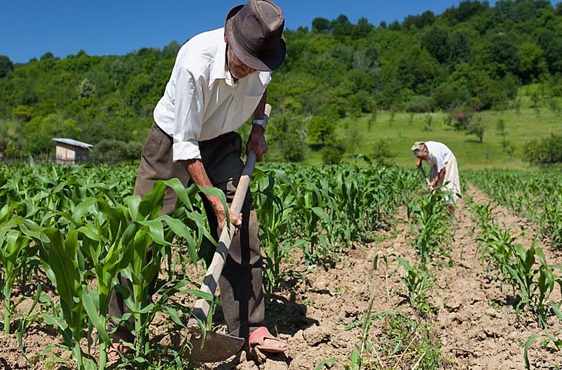 Benefícios do INSS para os agricultores só serão concedidos com cadastro feito nas prefeituras
