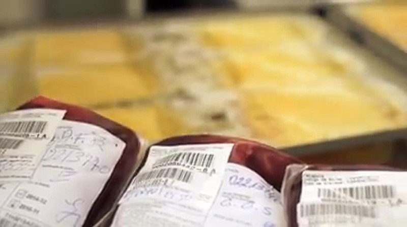 A primeira Empresa Brasileira de Hemoderivados e Biotecnologia (Hemobrás) foi iniciada em 2004, em Goiana (PE).