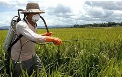 Em 2015, taxa foi de 20,5 por 100 mil; número é o dobro da média de suicídios para trabalhadores em geral.