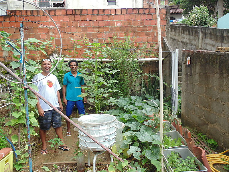 Quintal passou de depósito de entulhos para se tornar uma espécie de laboratório para testar práticas de agricultura orgânica