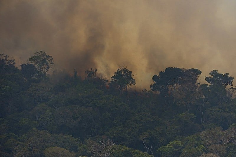 Segundo o Inpe, entre janeiro e agosto de 2019, um terço dos focos de queimadas foi identificado em áreas que até 2018 eram floresta.