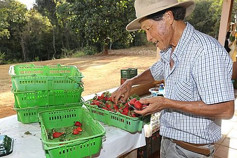 Embora a reforma da Previdência tenha passado no Congresso, as regras determinam que mulheres se aposentam aos 55 anos e homens aos 60 anos