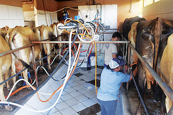 Produtores alegam que a crise no setor será ampliada com as normativas.