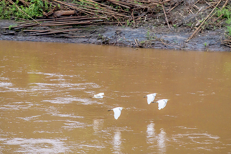Com o rompimento da barragem, 19 pessoas morreram