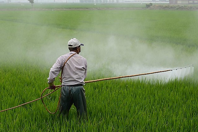 Según el estudio, uno de cada diez alimentos pueden generar síntomas de intoxicación en menos de un día