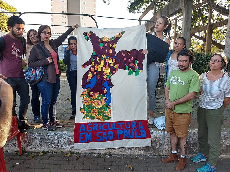Além de realizar plantio, participantes da oficina descobriram que a região central de São Paulo tem centenas de hortas urbanas