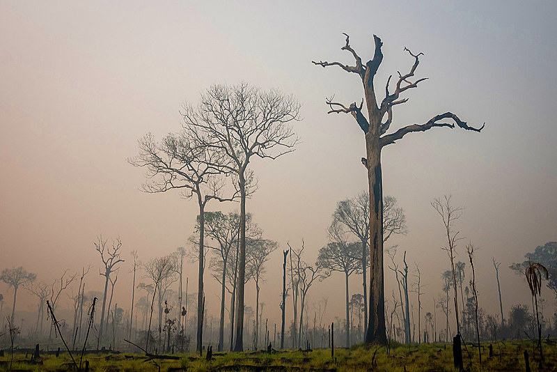 Os incêndios aumentaram 82% no Brasil em relação ao ano passado, segundo o Programa de Queimadas do Inpe